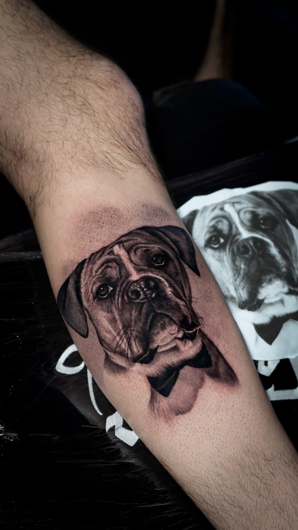 Hundeportrait Boxer — B&G Realismus von Vali